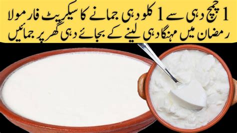 Chamach Dahi Say Kilo Dahi Banane Ka Tarika Yougart Recipe Dahi