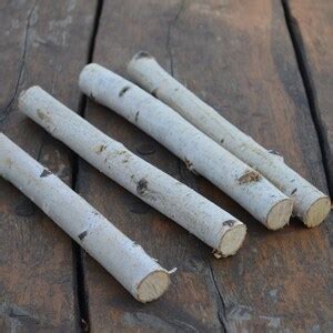 Birch Bundle Logs Of 4 White Birch Logs Rustic Craft Supply Rustic