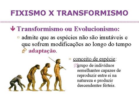 O Que É Transformismo - EVOLUO EVIDNCIAS E TEORIAS FIXISMO X TRANSFORMISMO Fixismo