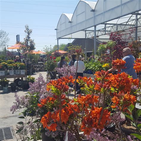 Corso's l Florist l Greenhouse l Landscape l Sandusky l Ohio