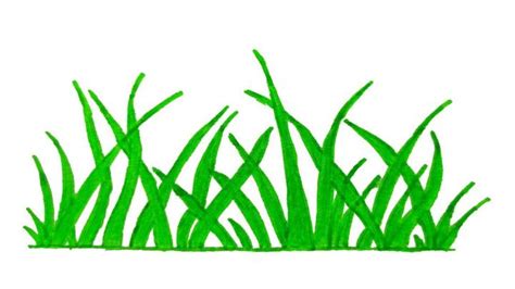 25 Easy Grass Drawing Ideas How To Draw Grass Blitsy