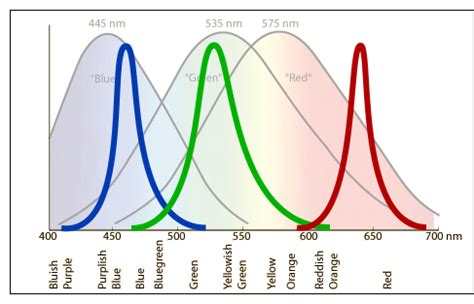 color profile wakapon