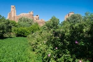 Vallée des Roses Maroc Ouarzazate city