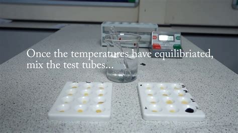 Investigating How Ph Effects The Rate Of Starch Digestion By Amylase