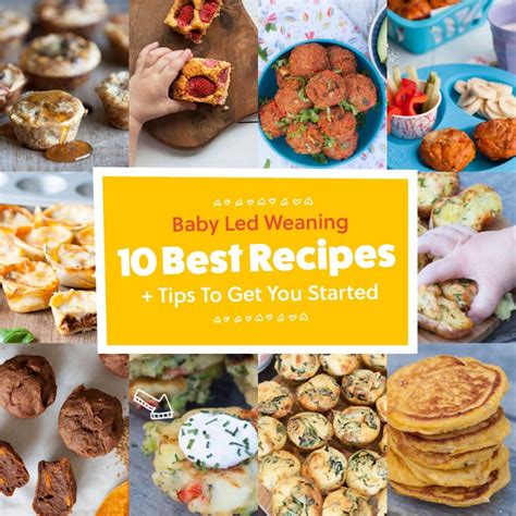 10 Recipes and Tips to Start Baby Led Weaning - Baby Led Feeding