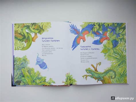 Книга: Про осьминога - Рената Муха. Купить книгу, читать рецензии ...