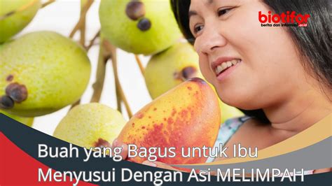 Buah Yang Bagus Untuk Ibu Menyusui Dengan Asi Melimpah