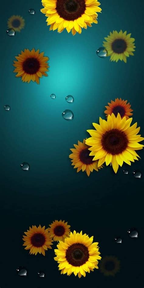 Total Imagen Background Girasol Abzlocal Mx