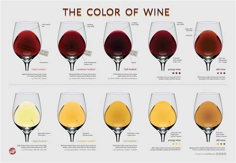 Wine Basics A Beginner S Guide To Drinking Wine Wine Folly Wine