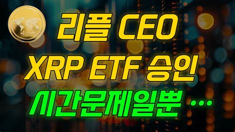 리플 Ceo Xro Etf 승인에 자신감 뿜뿜 🔥 Youtube