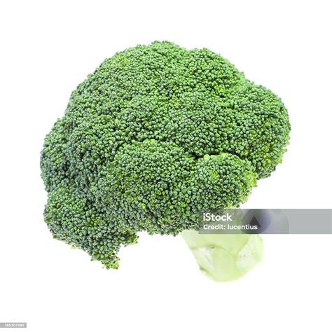 single broccoli head stock photo  image  broccoli close