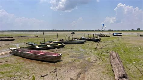 Seca extrema na Amazônia está relacionada ao El Niño