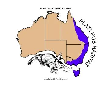 Platypus Habitat map for Kids