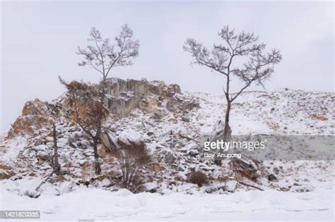 52 Baikal Nature Reserve Stock Photos, High-Res Pictures, and Images ...