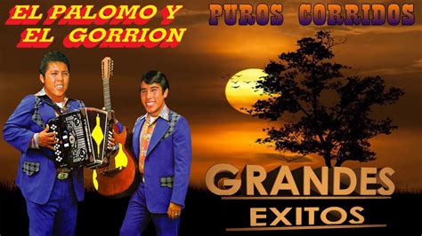 El Palomo Y El Gorrion Puros Corridos Mix Youtube