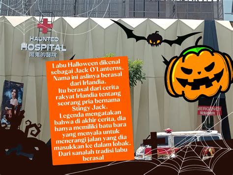 Tradisi Labu Pada Hari Halloween Galeri Diposting Oleh Magic Of Light