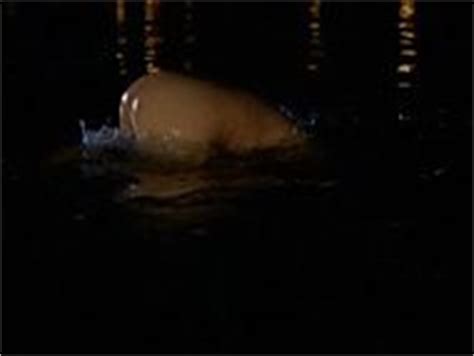 Naked Brooke Nevin In I Ll Always Know What You Did Last Summer Video Clip