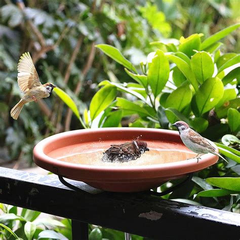 12 Inches Deck Mounted Bird Bath Bowl Spa With Sturdy Steel Etsy