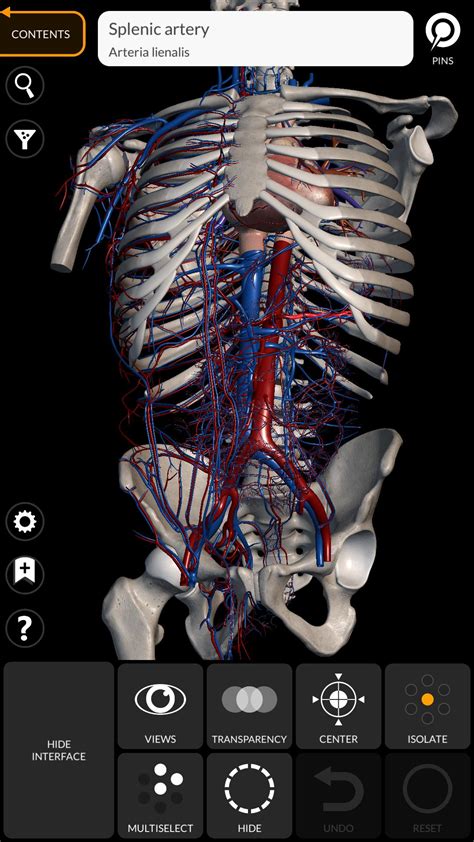 Anatomy 3D Atlas APK for Android Download