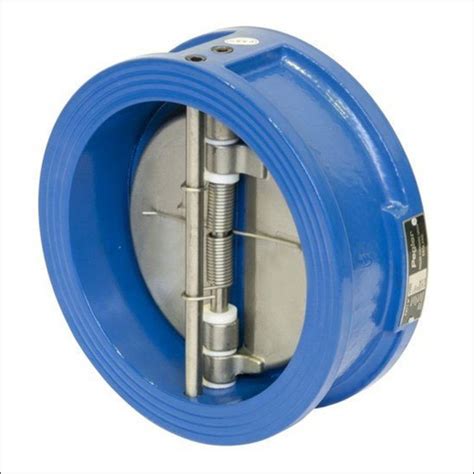 Blue Wafer Check Valve At Best Price In Ahmedabad Flowjet Valves Pvt Ltd