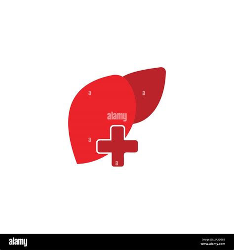 Vector Liver Icon Flat Logohuman Disease Health Designliver Anatomy Medical Health Stock