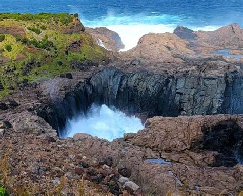 Insel Terceira Wanderweg Buchten Von Agualva Getyourguide