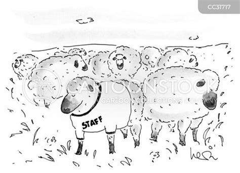 Herd Cartoons