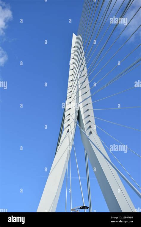 Low Angle Shot Of Erasmusbrug Bridge With Cables In Rotterdam