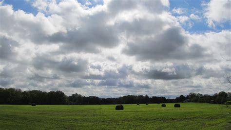 Hayfield | Hayfield, Outdoor, Farm