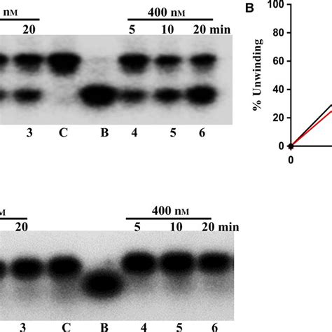 Directionspecific Helicase Activity A PfPSH1C Helicase Activity