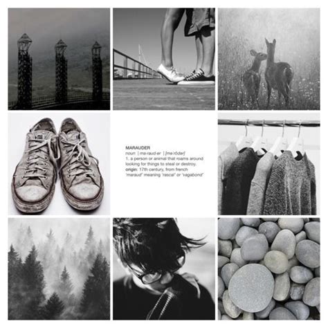 James Potter aesthetic | Harry Potter Amino