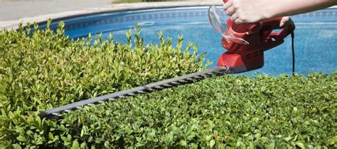 The Best Hedge Trimmer Reviews Ratings Comparisons