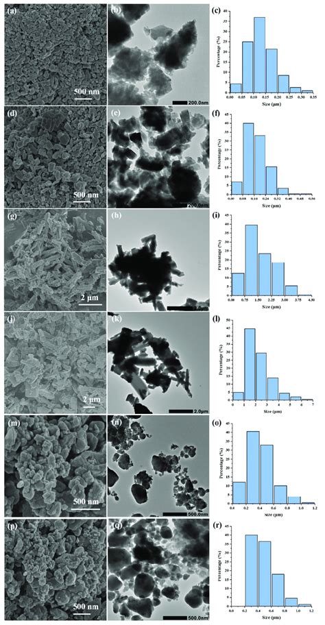 The Scanning Electron Microscopy Sem Micrographs Transmission