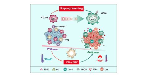 Engineered Bacterial Biomimetic Vesicles Reprogram Tumor Associated