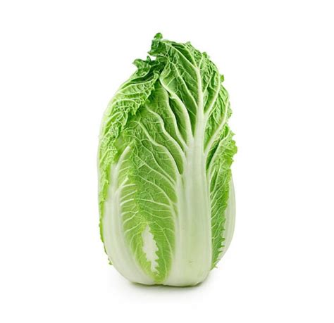 Chinese Cabbage Pe Tsai Associations With The Vegetable Garden