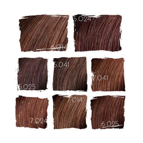 L Oreal Professional Majirel Hair Colour Chart A Visual Reference Of