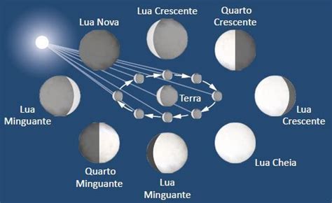 Como A Lua Afeta A Vida Na Terra