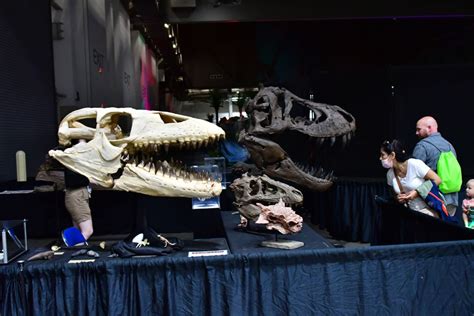 Venture Into The Past Jurassic Quest Comes To Jackson