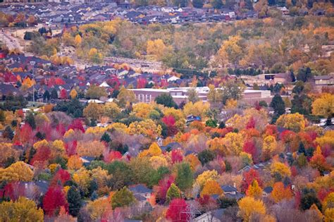 Fall Colors In Southeast Boise Idaho Stock Photo - Download Image Now ...