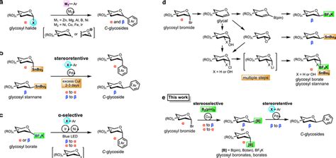 Transitionmetalcatalyzed Crosscoupling Toward Aryl Cglycosides A