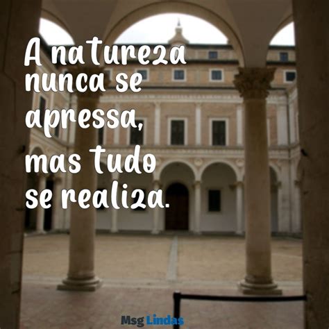 Natureza Frases Reflexão Curtas