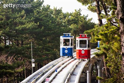 Korean People And Foreign Travelers Sitting Passengers Journey On Sky