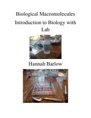 Macromolecules Lab Report Pdf Biological Macromolecules Introduction