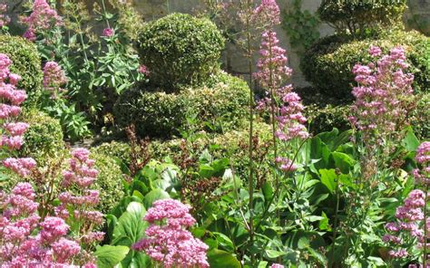 Mill Dene Garden Sisley Garden Tours