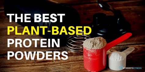 2024s 5 Best Plant Based Protein Powders For Vegans And Vegetarians