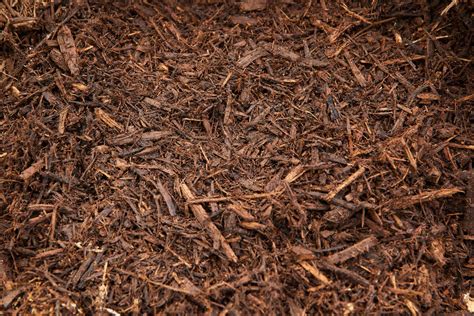 Proper Mulch Application for Your Garden Beds - Casco