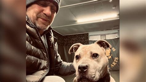 BEWARE HORRIBLE ARTICLE ABOUT DOGFIGHTING – NORTH WEST HUNT SABOTEURS