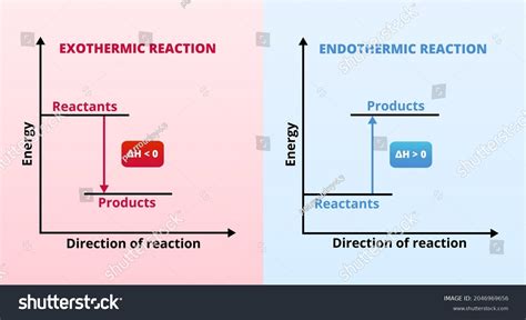 Endothermic And Exothermic Reaction Graph