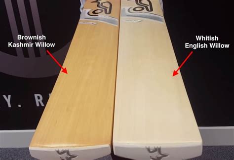 Kashmir Willow Vs English Willow Whats The Difference Cricket