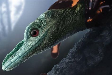 99-Million-year-old Fossil Thought to be 'Small Dinosaur' is Actually ...